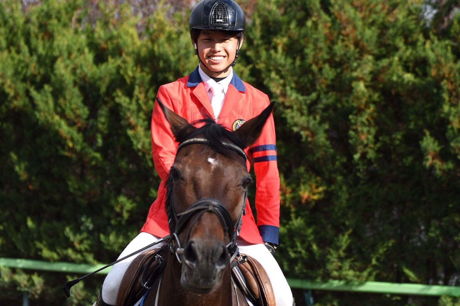 障害馬術 アンソニー・パールマン著　乗馬　馬 スポーツ名著新訳 障害馬術 | アンソニー・パールマン, 岡部長忠