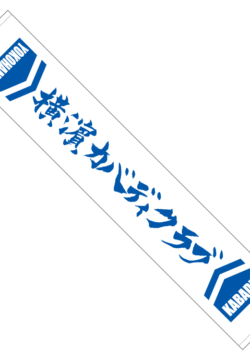 MTyokohama_kabaddi