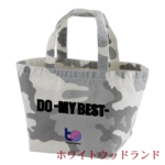 1543_to1_lunch_bag