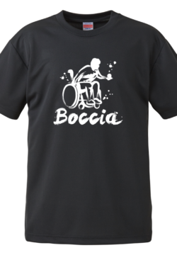 5900boccia_yagi