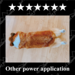 5001other_power_application