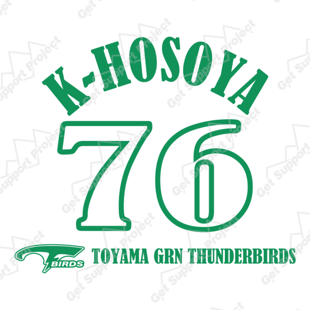 5001_k_hosoya_76_2021
